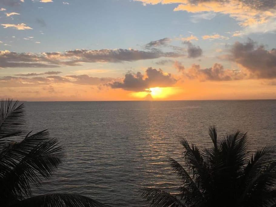 Punta Me Apartments With Nice Sea View & Beach Cancún Eksteriør billede